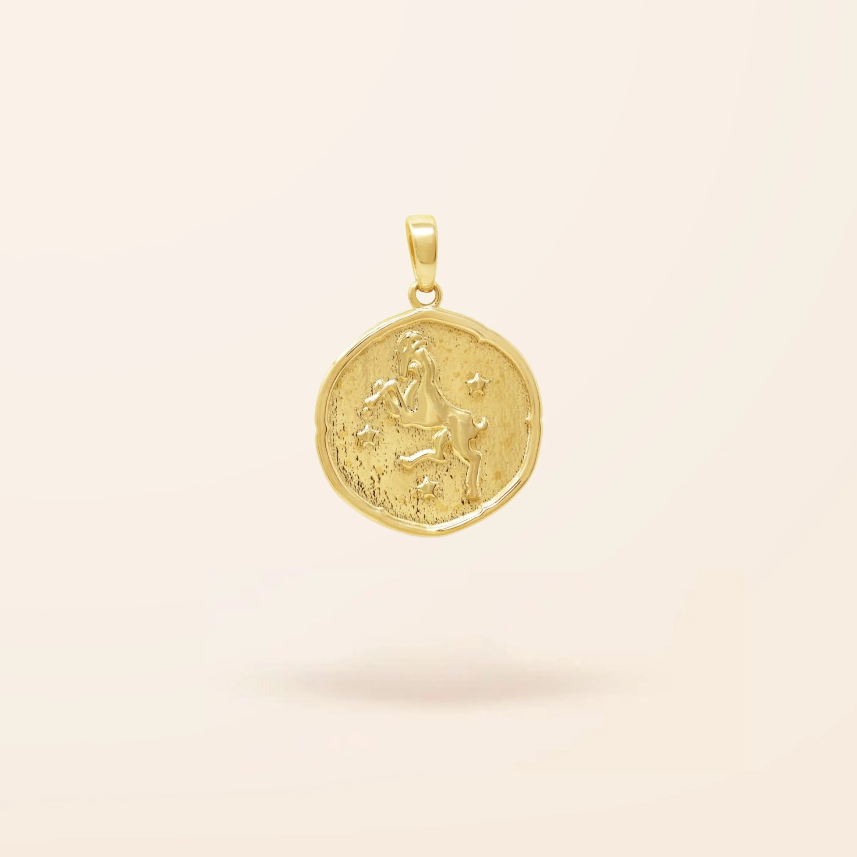 10K Gold Zodiac Disc Charm
