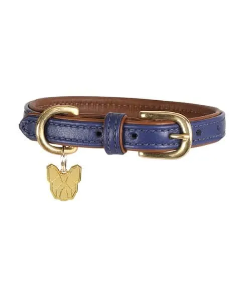 Digby & Fox Padded Leather Dog Collar Navy | Ingatestone Saddlery