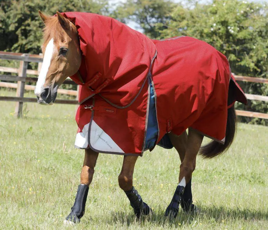 Premier Equine Lucanta Stratus 200g Turnout Rug with Neck Cover | Elite Saddlery