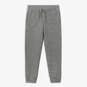 The Jogger | Heather Storm Gray